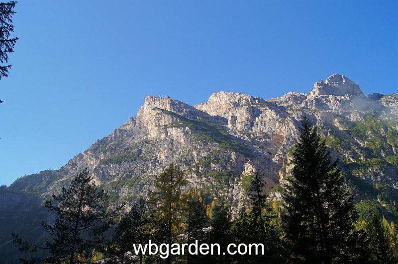 wbgarden alps 3a.JPG